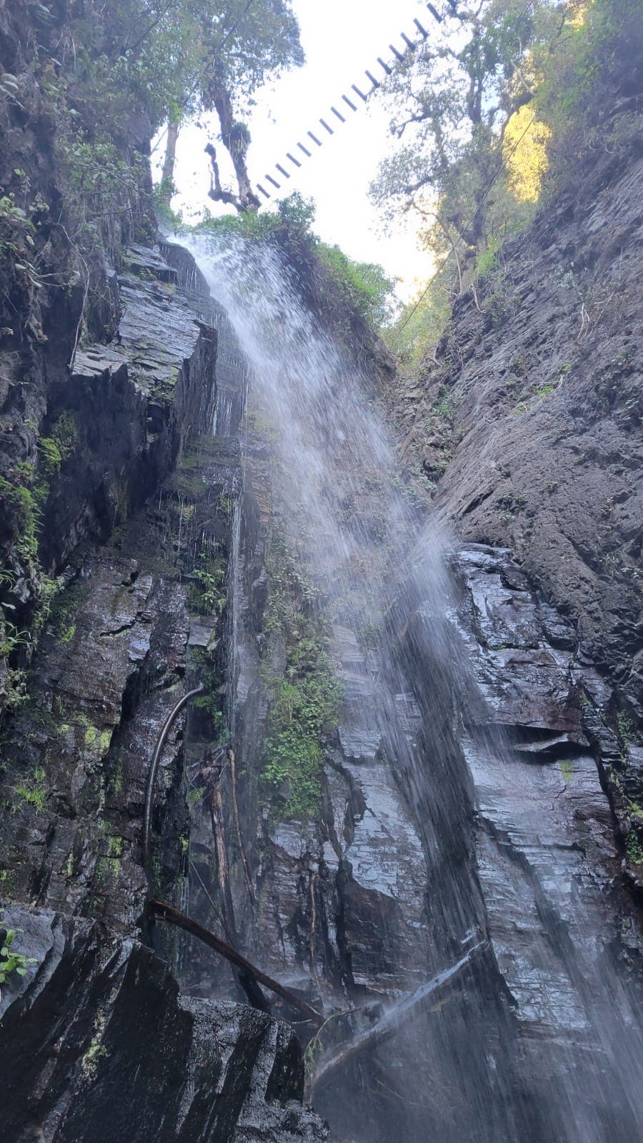 Las Minas
